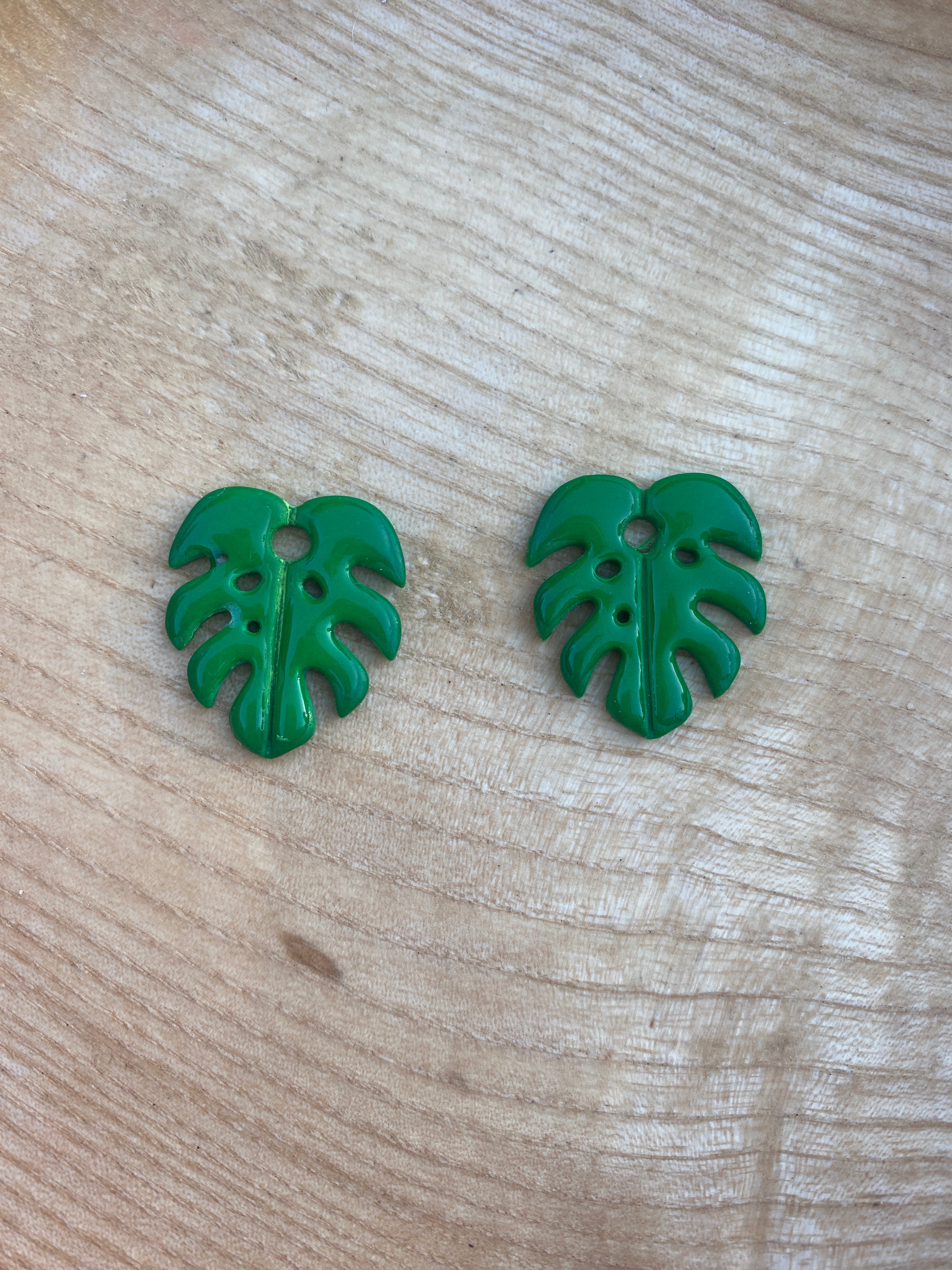Pampilles feuille de Monstera