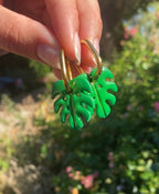 Pampilles feuille de Monstera