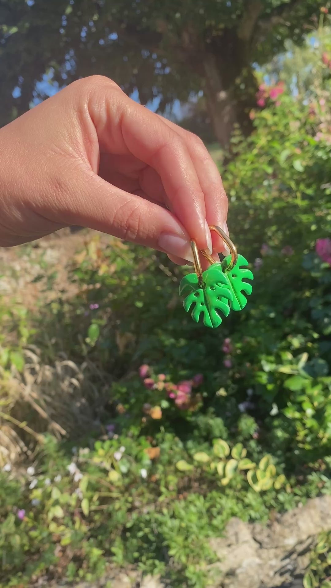 Pampilles feuille de Monstera