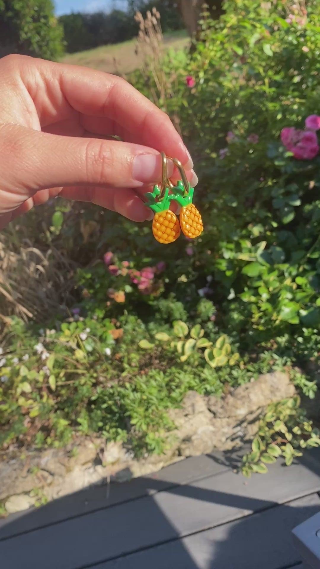 Pampilles ananas